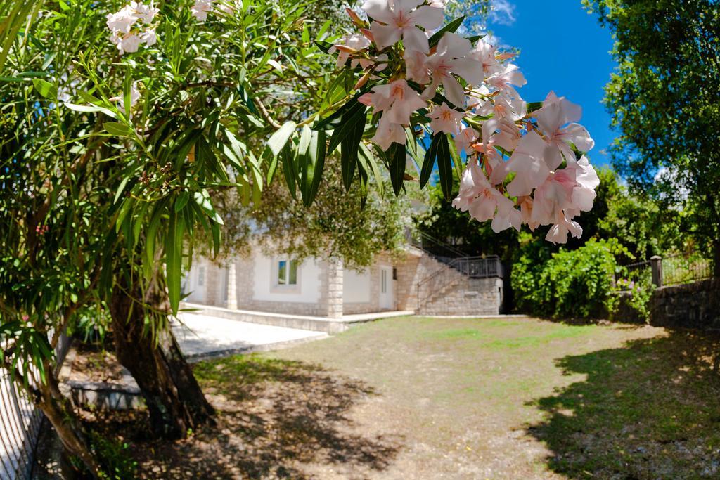 Olive Tree Villa Χέρτσεγκ Νόβι Εξωτερικό φωτογραφία